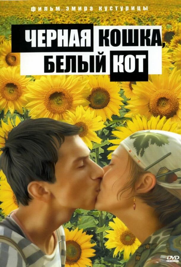 Фильм Черная кошка, белый кот (1998) смотреть онлайн